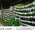 A fortune-telling rack with many fortunes tied together and a hydrangea 111000817