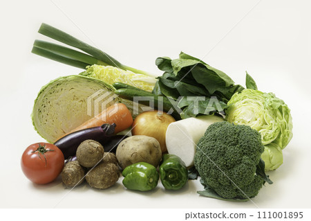 15種指定蔬菜 111001895