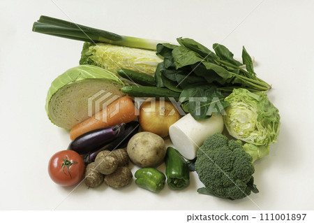 15 designated vegetables 111001897