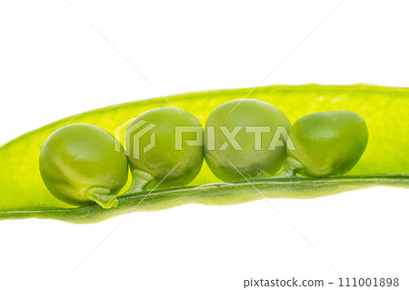 green peas fresh isolated green peas fresh isolated 111001898