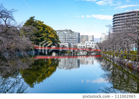 橫跨小田原城二之丸東堀的學橋(神奈川縣小田原市) 橫跨小田原城二之丸東堀的學橋(神奈川縣小田原市) 111002065