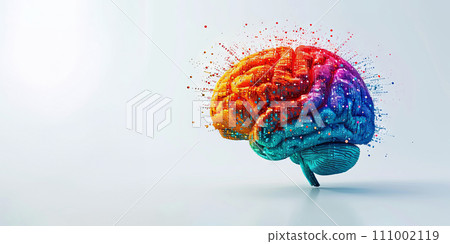 Human brain painted in different colors 111002119