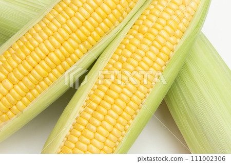 corn corn 111002306