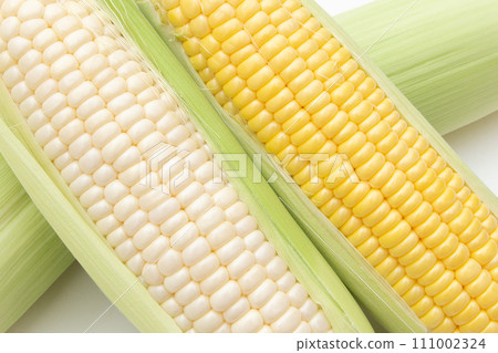 corn corn 111002324