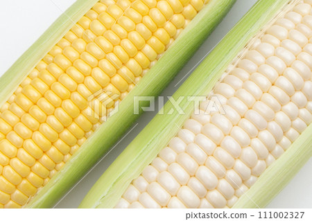 corn corn 111002327