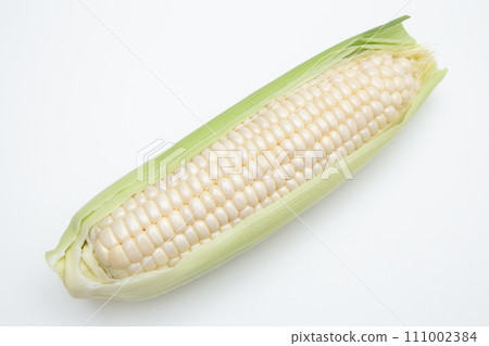 corn corn 111002384