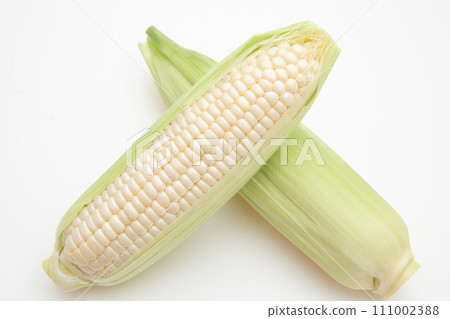corn corn 111002388