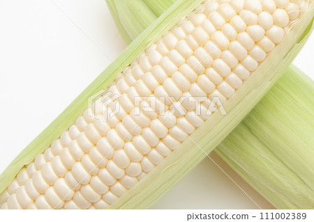 corn  111002389