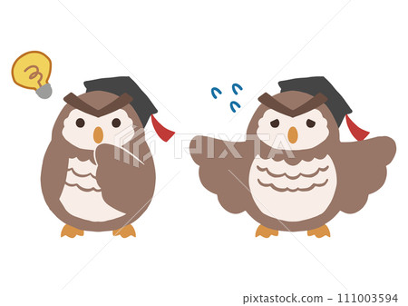 owl teacher 2 111003594