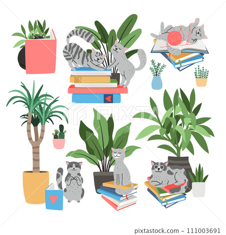 Cats, books and houseplants set. Love of reading concept 111003691