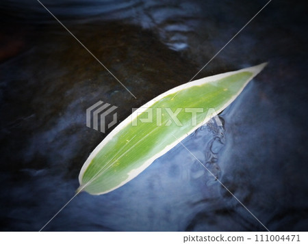 Bamboo leaves flowing in the stream Bamboo leaves flowing in the stream 111004471