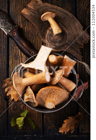 raw mushrooms, fresh mushrooms on cutting board 111004534
