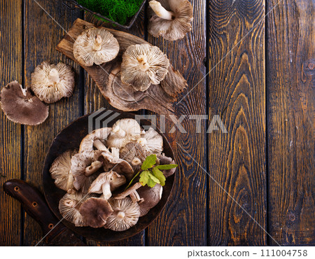 Gray mushrooms on plate on a dark wooden board. 111004758