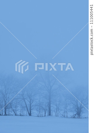 冬天雪原裡蒼白、朦朧的樹木。 冬天雪原裡蒼白、朦朧的樹木。 111005441