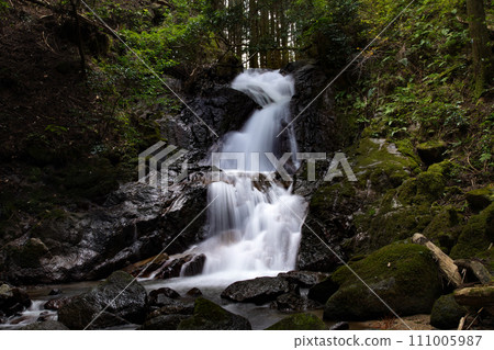 Tashiro Hontaki, Shinshiro City, Aichi Prefecture 111005987