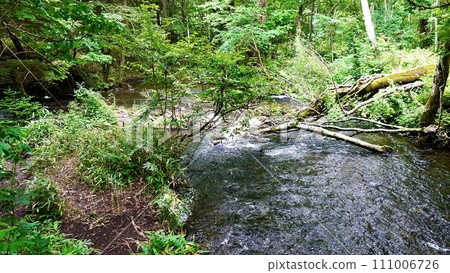 栃木縣日光市湯瀧瀑布周圍的河流 栃木縣日光市湯瀧瀑布周圍的河流 111006726