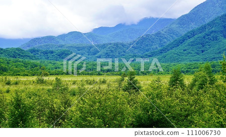 栃木縣日光市的夏季戰場原 栃木縣日光市的夏季戰場原 111006730