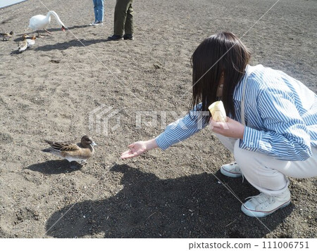餵鳥的女孩 111006751