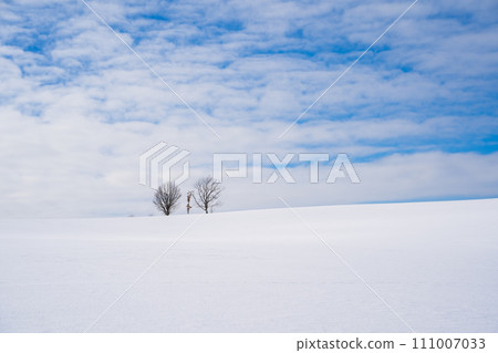 [Hokkaido/Biei] Winter parent and child tree 111007033
