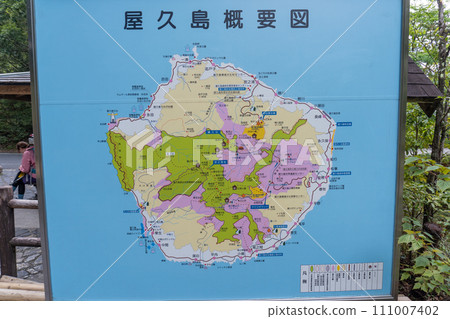 屋久島白谷雲水峽地區 屋久島白谷雲水峽地區 111007402
