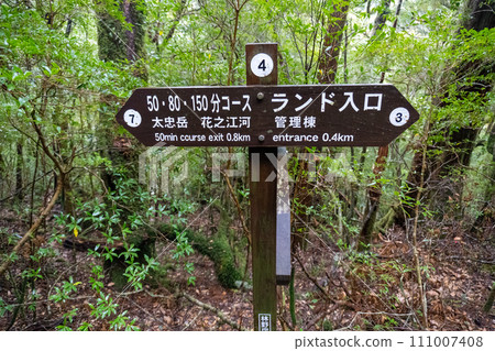 Mt. Tachudake in Yakusugi Land, Yakushima Mt. Tachudake in Yakusugi Land, Yakushima 111007408