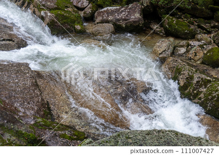 屋久島屋久杉樂園立中岳 111007427