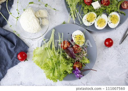 Healthy salad with lettuce, cherry tomatoes, mozzarella cheese and microgreens, on a plate, light background Healthy salad with lettuce, cherry tomatoes, mozzarella cheese and microgreens, on a plate, light background 111007560