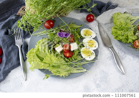 Healthy salad with lettuce, cherry tomatoes, mozzarella cheese and microgreens, on a plate, light background Healthy salad with lettuce, cherry tomatoes, mozzarella cheese and microgreens, on a plate, light background 111007561