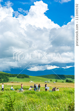 Picnic in the midsummer meadow 111009192