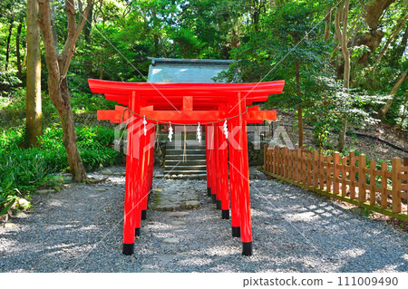 駿府久能山東照宮的庭院和景色,據說是德川家康的墳墓 駿府久能山東照宮的庭院和景色,據說是德川家康的墳墓 111009490
