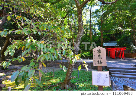 駿府久能山東照宮的庭院和景色，據說是德川家康的墳墓 111009493