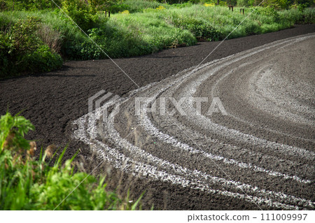 Drying of feces in a special pond. Lake for drainage of sewage. Drying of feces in a special pond for organic fertilizers. Drying of feces in a special pond. Lake for drainage of sewage. Drying of feces in a special pond for organic fertilizers. 111009997
