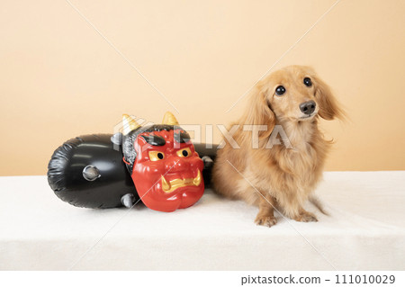 Demon mask, metal rod, and miniature dachshund 111010029