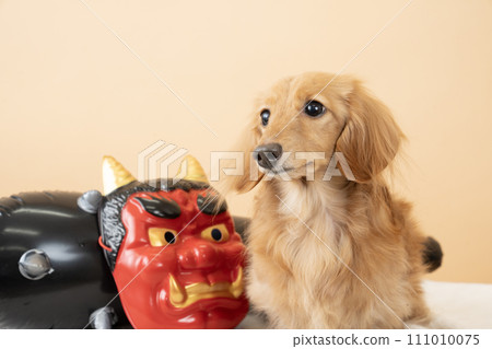 Demon mask, metal rod, and miniature dachshund Demon mask, metal rod, and miniature dachshund 111010075