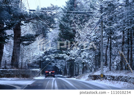 開車穿過積雪覆蓋的樹木 111010234