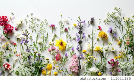Collection of mixed wildflowers on white background. Copy space 111011126