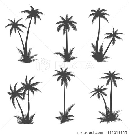 Palm tree silhouettes 111011135