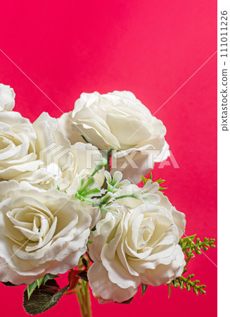White rose bouquet on red background with copy space for your text White rose bouquet on red background with copy space for your text 111011226