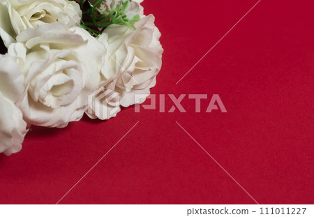 Bouquet of white roses on a red background with copy space Bouquet of white roses on a red background with copy space 111011227