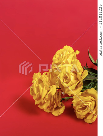 Bouquet of yellow roses on a red background 111011229