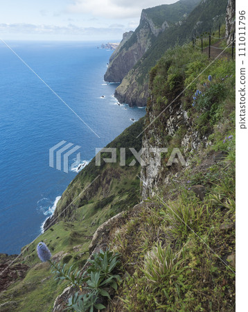 Views from Vereda do Larano coastal hiking trail. Cliffs atlantic ocean and green tropical vegetation. Madeira island, Portugal, Europe. Views from Vereda do Larano coastal hiking trail. Cliffs atlantic ocean and green tropical vegetation. Madeira island, Portugal, Europe. 111011796