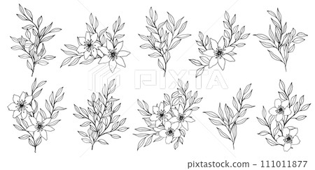 vector composition with flower, leaves and branch. Elegant art for decoration. ink hand drawing monochrome botanical illustration for backgrounds. Template for wedding cards, polygraph, logo, tattoo. 111011877