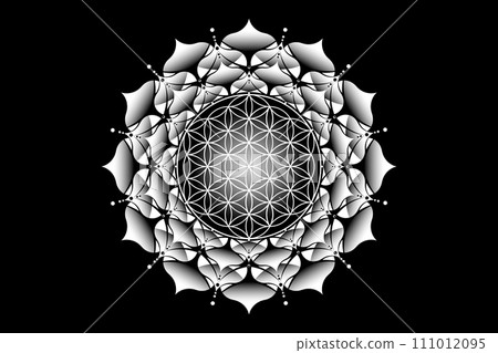 Sacred lotus yantra mandala, Mystical Flower of Life. Sacred geometry, vector logo graphic element isolated. Mystic icon seed of life, geometric drawing sign, esoteric lotus flower on black background 111012095