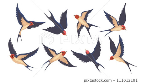 Cartoon swallow in flight set 111012191