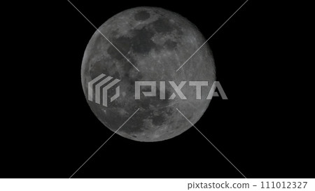 Looking up at the full moon from Kasai Rinkai Park 111012327