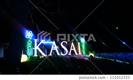 Kasai Rinkai Park illuminated by the full moon 111012333