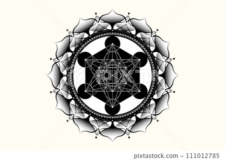 Sacred mandala of Metatrons Cube, Mystical Flower of Life. Sacred geometry, graphic element Vector isolated Illustration. Mystic lotus icon platonic solids, geometric drawing, typical crop circles 111012785