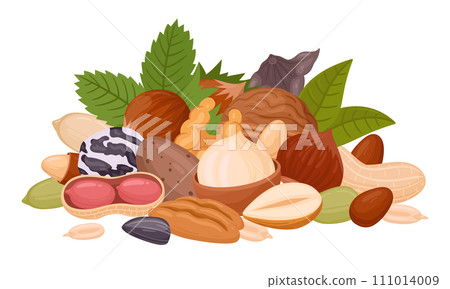 Seeds and nuts handful. Raw nuts bunch, almond, peanut, cashew and walnut mix, organic vegetarian nuts mix flat vector illustration on white 111014009