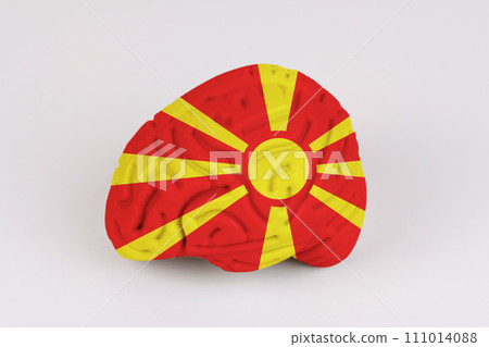 On a white background, a model of the brain with a picture of a flag - Macedonia 111014088