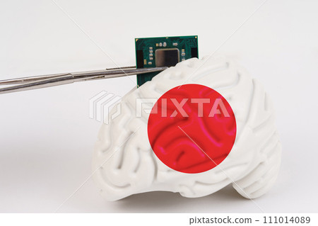 On a white background, a model of the brain with a picture of a flag - Japan, a microcircuit, a processor, is implanted into it. 111014089